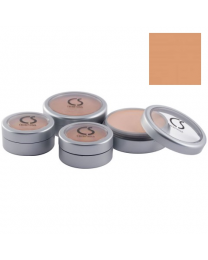 Cinema Secrets Ultimate Foundation