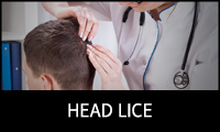 Head Lice