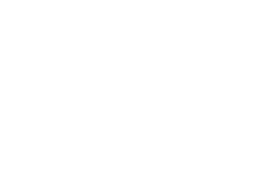 Skin Inc